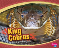 King Cobras by Mattern, Joanne